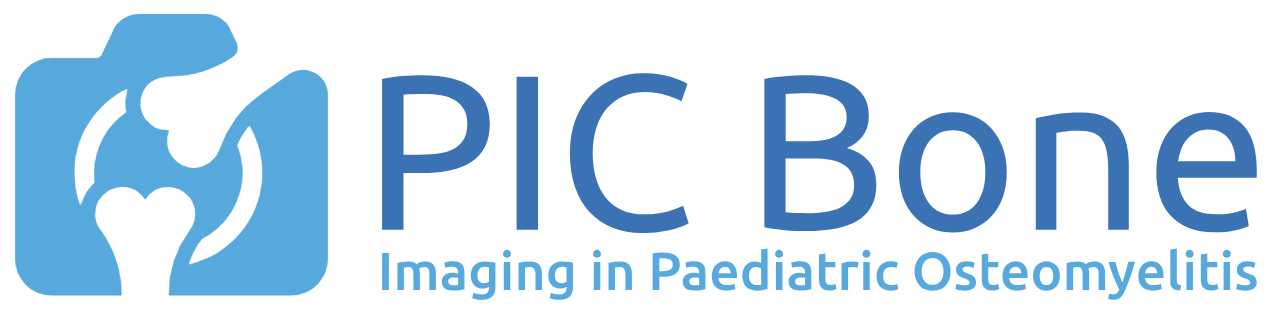 A simple small logo for the Picbone study, showing a bone on a blue background